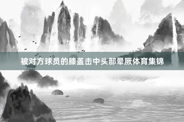 被对方球员的膝盖击中头部晕厥体育集锦