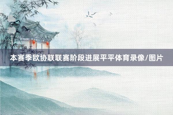 本赛季欧协联联赛阶段进展平平体育录像/图片