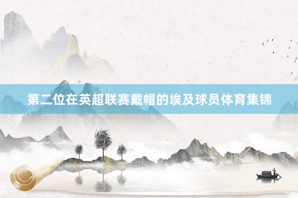 第二位在英超联赛戴帽的埃及球员体育集锦
