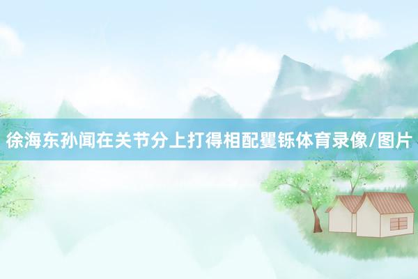 徐海东孙闻在关节分上打得相配矍铄体育录像/图片