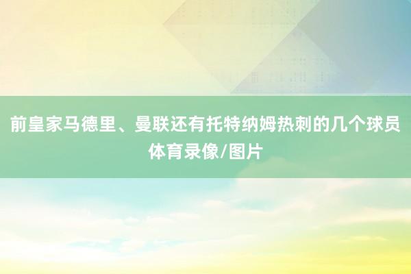 前皇家马德里、曼联还有托特纳姆热刺的几个球员体育录像/图片