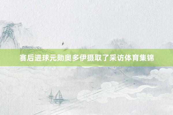 赛后进球元勋奥多伊摄取了采访体育集锦