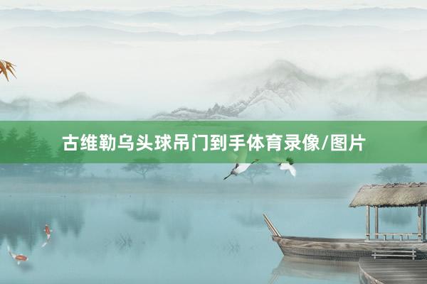 古维勒乌头球吊门到手体育录像/图片