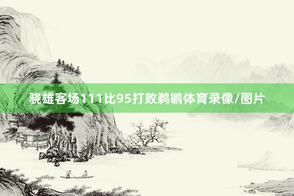 骁雄客场111比95打败鹈鹕体育录像/图片