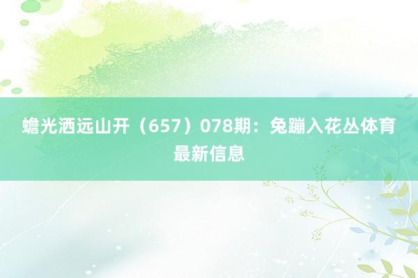 蟾光洒远山开（657）　　078期：兔蹦入花丛体育最新信息