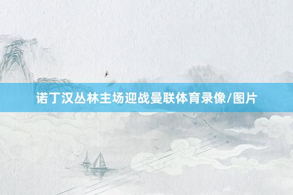 诺丁汉丛林主场迎战曼联体育录像/图片