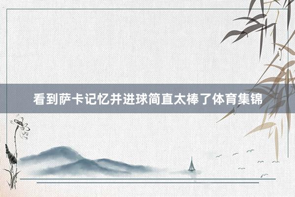 看到萨卡记忆并进球简直太棒了体育集锦