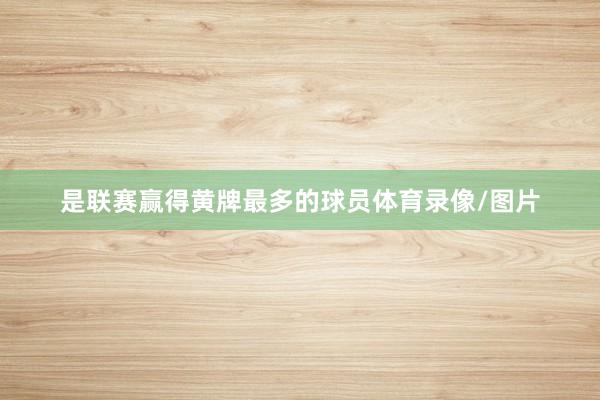 是联赛赢得黄牌最多的球员体育录像/图片