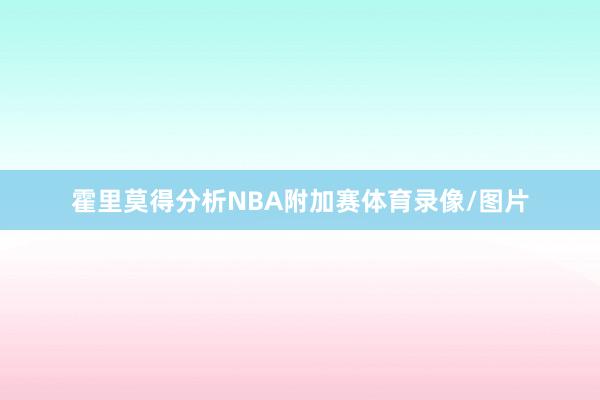 霍里莫得分析NBA附加赛体育录像/图片