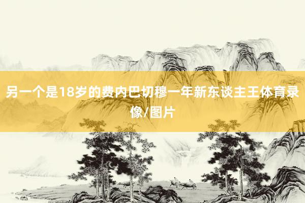 另一个是18岁的费内巴切穆一年新东谈主王体育录像/图片