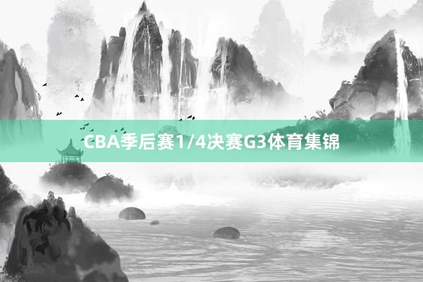 CBA季后赛1/4决赛G3体育集锦