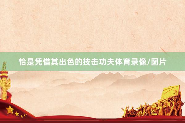 恰是凭借其出色的技击功夫体育录像/图片