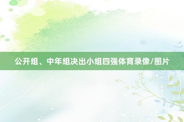 公开组、中年组决出小组四强体育录像/图片