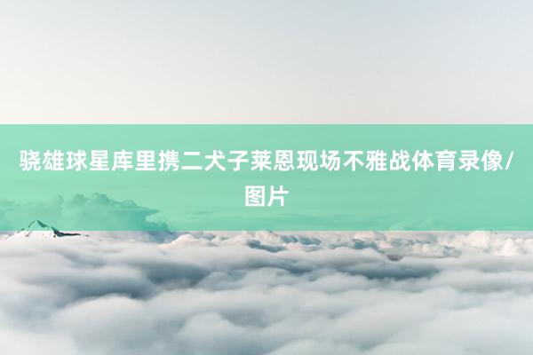 骁雄球星库里携二犬子莱恩现场不雅战体育录像/图片
