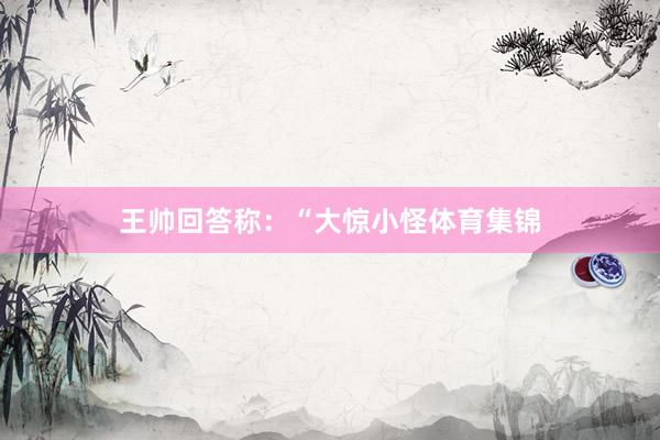 王帅回答称：“大惊小怪体育集锦