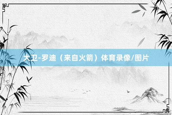 大卫-罗迪（来自火箭）体育录像/图片