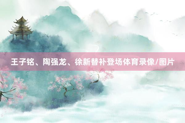 王子铭、陶强龙、徐新替补登场体育录像/图片