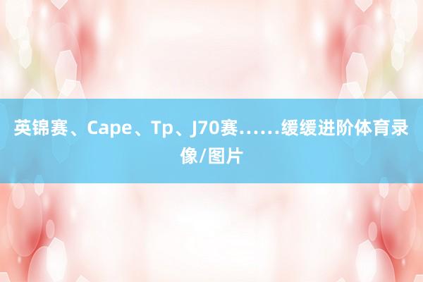 英锦赛、Cape、Tp、J70赛……缓缓进阶体育录像/图片