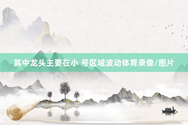 其中龙头主要在小 号区域波动体育录像/图片