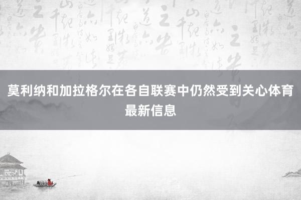 莫利纳和加拉格尔在各自联赛中仍然受到关心体育最新信息