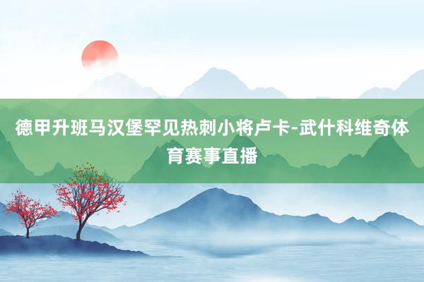 德甲升班马汉堡罕见热刺小将卢卡-武什科维奇体育赛事直播