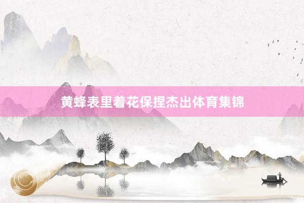 黄蜂表里着花保捏杰出体育集锦