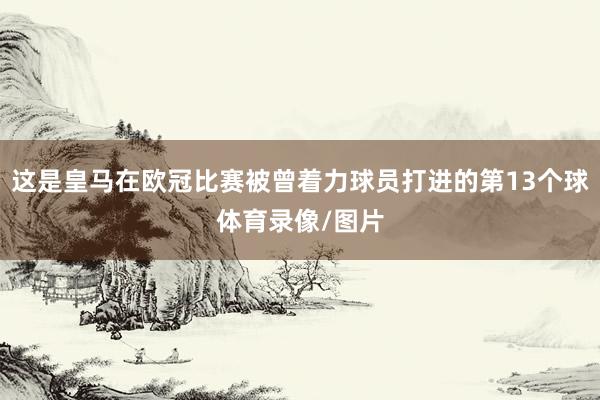 这是皇马在欧冠比赛被曾着力球员打进的第13个球体育录像/图片
