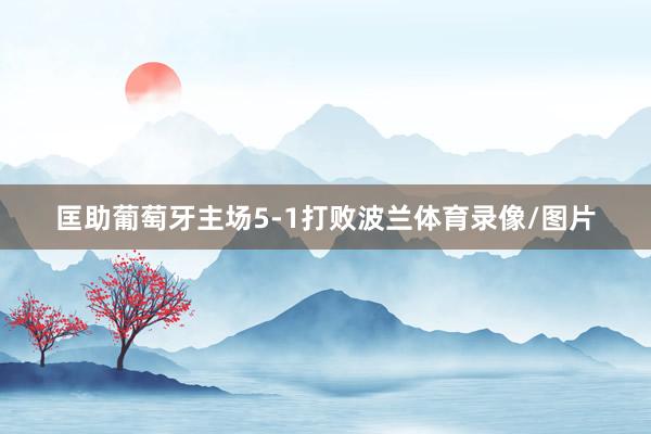 匡助葡萄牙主场5-1打败波兰体育录像/图片