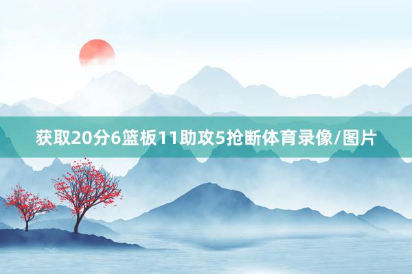 获取20分6篮板11助攻5抢断体育录像/图片