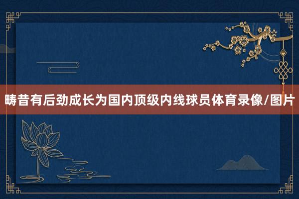 畴昔有后劲成长为国内顶级内线球员体育录像/图片