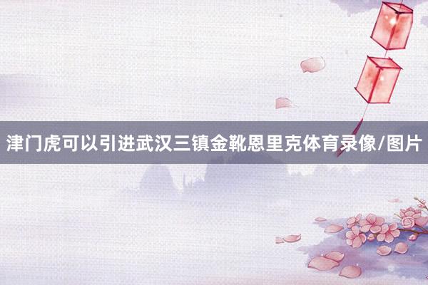 津门虎可以引进武汉三镇金靴恩里克体育录像/图片