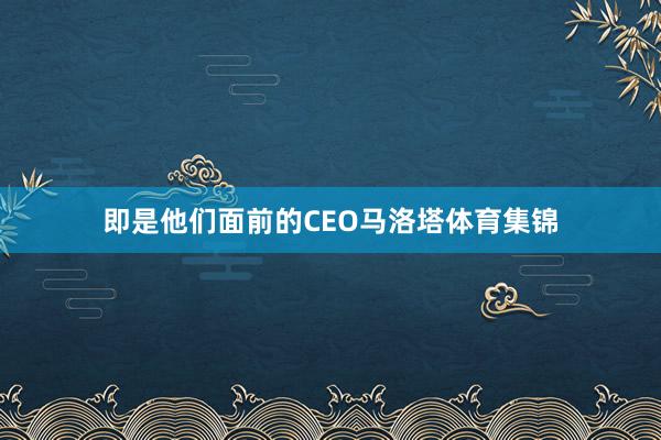 即是他们面前的CEO马洛塔体育集锦