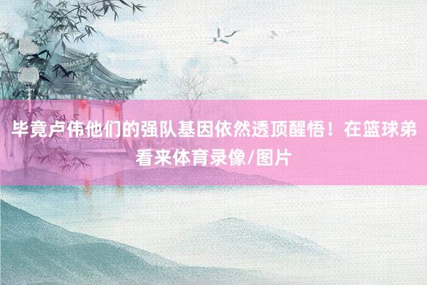 毕竟卢伟他们的强队基因依然透顶醒悟！在篮球弟看来体育录像/图片