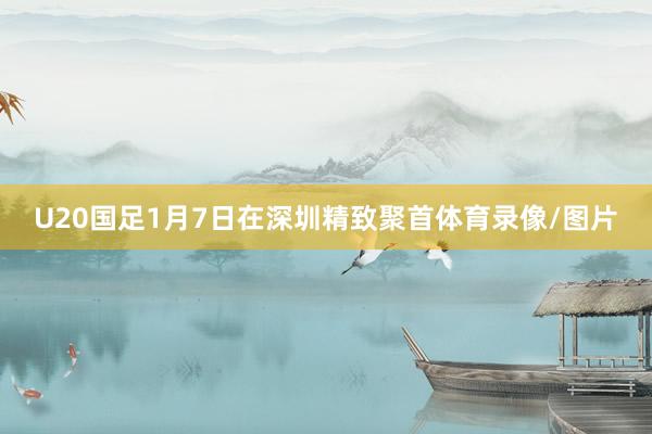 U20国足1月7日在深圳精致聚首体育录像/图片