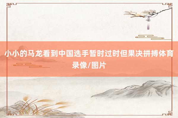 小小的马龙看到中国选手暂时过时但果决拼搏体育录像/图片