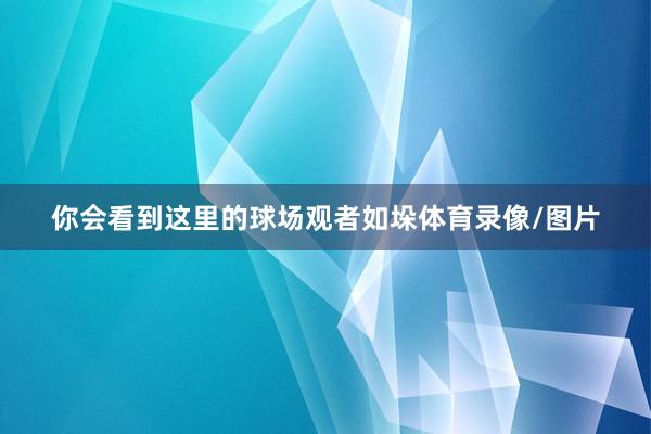 你会看到这里的球场观者如垛体育录像/图片