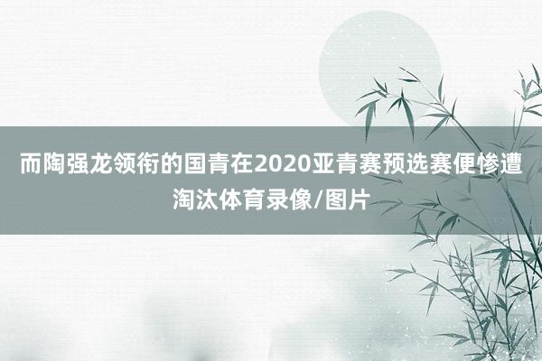 而陶强龙领衔的国青在2020亚青赛预选赛便惨遭淘汰体育录像/图片
