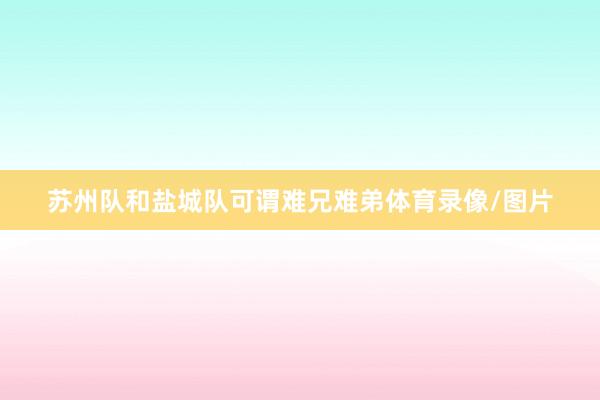 苏州队和盐城队可谓难兄难弟体育录像/图片