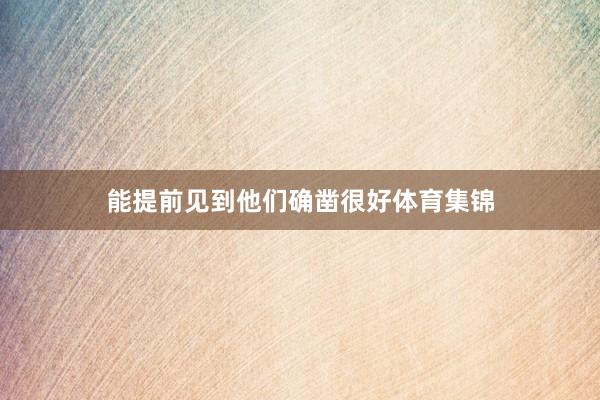 能提前见到他们确凿很好体育集锦