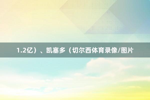 1.2亿)、凯塞多(切尔西体育录像/图片