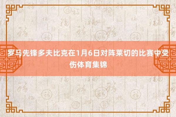 罗马先锋多夫比克在1月6日对阵莱切的比赛中受伤体育集锦