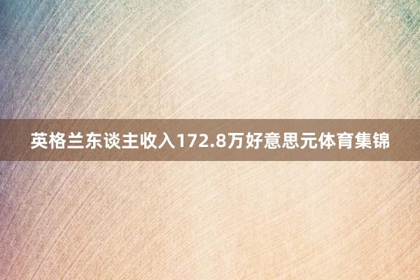 英格兰东谈主收入172.8万好意思元体育集锦